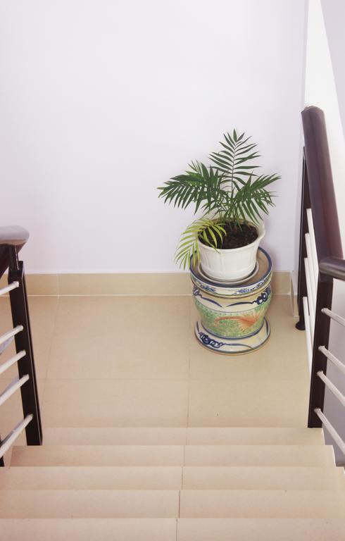 Tree House Hostel ดาลัด ภายนอก รูปภาพ