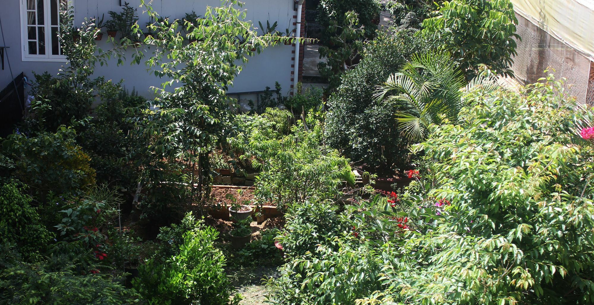 Tree House Hostel ดาลัด ภายนอก รูปภาพ